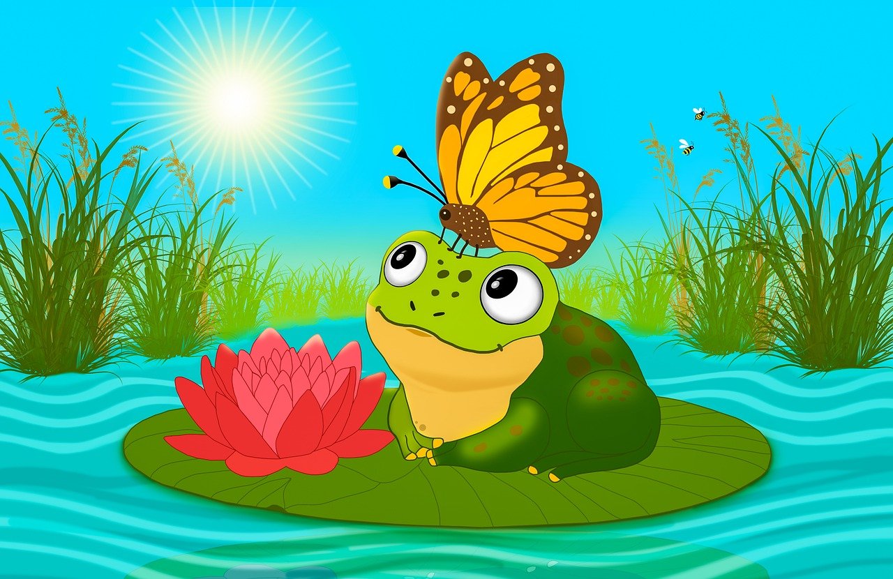 frog, cool backgrounds, lily pad-8780896.jpg